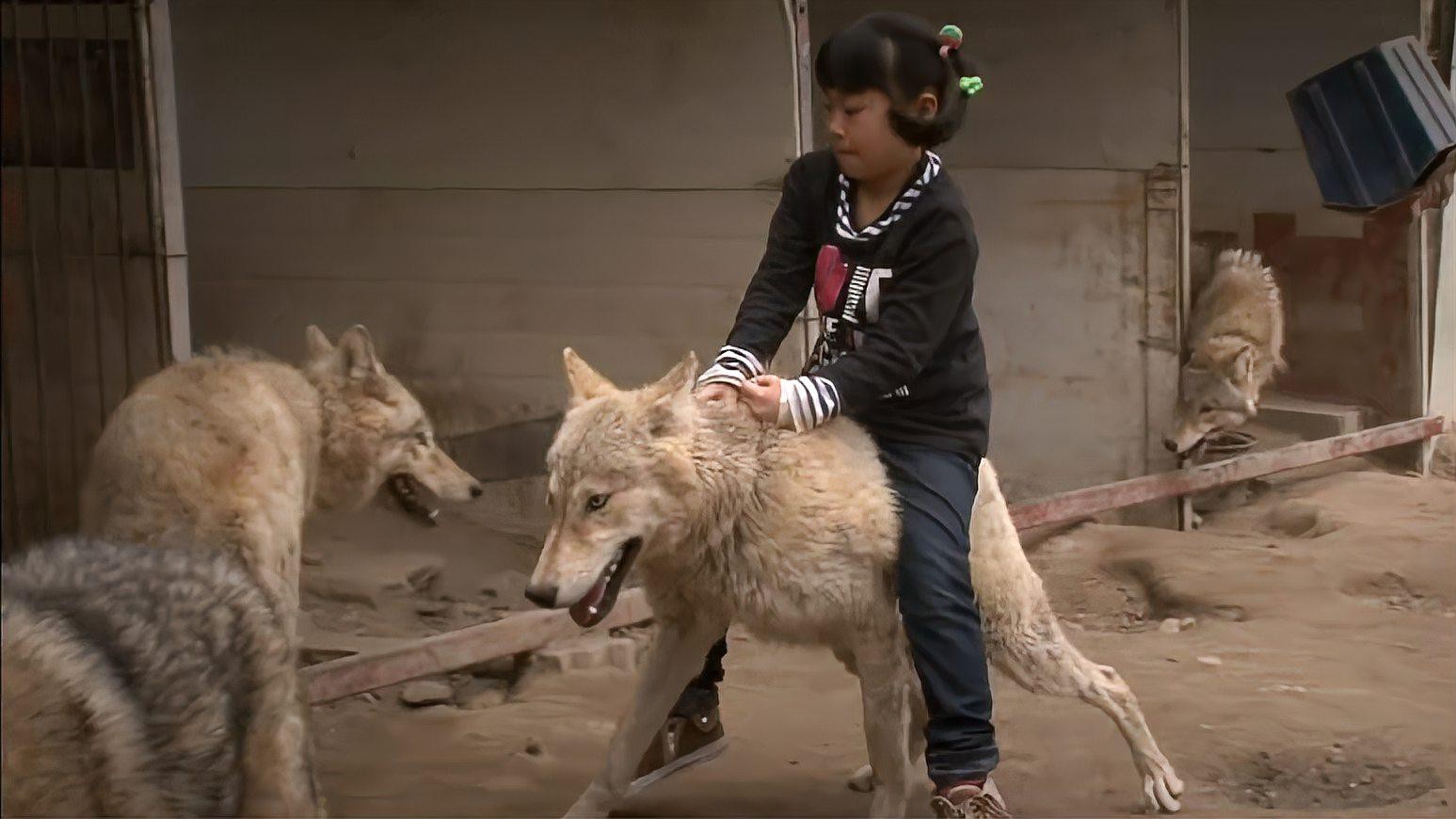 混養時如何保證食物充足？