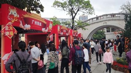 廣州荔灣哪里有賣龍魚（廣州荔灣區作為觀賞魚的集散地）