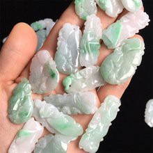 現代翡翠龍魚的價格范圍是多少？