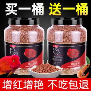 龍魚可以吃鸚鵡魚飼料嗎：龍魚能吃鸚鵡魚飼料嗎 龍魚可以吃鸚鵡魚飼料嗎：龍魚能吃鸚鵡魚飼料嗎 龍魚百科 第5張