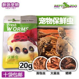 龍魚可以吃鸚鵡魚飼料嗎：龍魚能吃鸚鵡魚飼料嗎 龍魚可以吃鸚鵡魚飼料嗎：龍魚能吃鸚鵡魚飼料嗎 龍魚百科 第4張