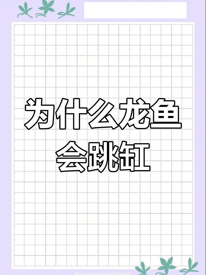 如何避免古典龍魚跳缸？