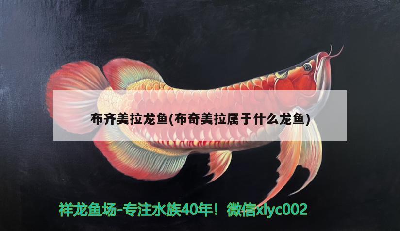 威海經(jīng)濟技術(shù)開發(fā)區(qū)雙雙鋁合金門窗店 威海經(jīng)濟技術(shù)開發(fā)區(qū)雙雙鋁合金門窗店 全國水族館企業(yè)名錄 第2張