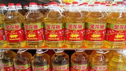 金龍魚為什么好（金龍魚營養價值與健康關系）