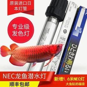 促進龍魚發色的藥物是什么藥（促進龍魚發色的藥物）