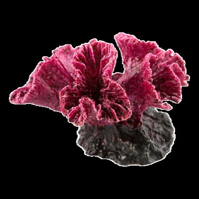 洛魯（LUOLU）魚缸（洛魯魚缸室內(nèi)裝飾效果）