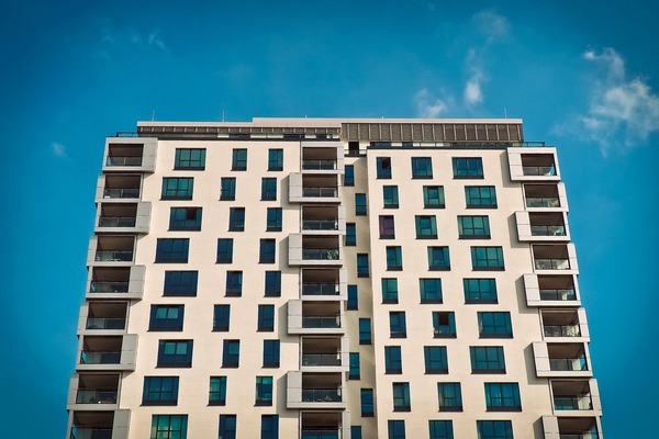 濮陽縣國慶路盼星金魚水族門市（濮陽金魚批發市場在哪里）