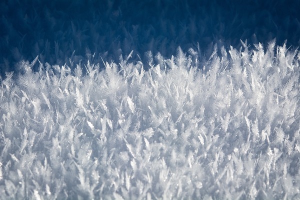 洛陽億鑫海洋館服務有限公司（洛陽億鑫海洋館服務有限公司怎么樣）