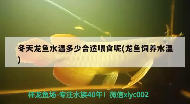 沈陽駿慈商貿有限公司（沈陽駿慈商貿有限公司怎么樣）