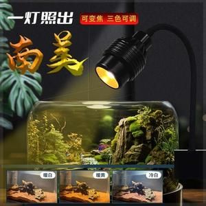 龍魚夜燈用射燈好嗎（龍魚夜燈是否使用射燈？） 龍魚夜燈用射燈好嗎（龍魚夜燈是否使用射燈？） 龍魚百科 第4張