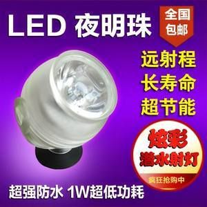 龍魚夜燈用射燈好嗎（龍魚夜燈是否使用射燈？） 龍魚夜燈用射燈好嗎（龍魚夜燈是否使用射燈？） 龍魚百科 第2張
