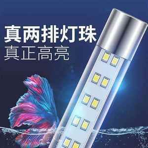 龍魚夜燈用射燈好嗎（龍魚夜燈是否使用射燈？） 龍魚夜燈用射燈好嗎（龍魚夜燈是否使用射燈？） 龍魚百科 第3張