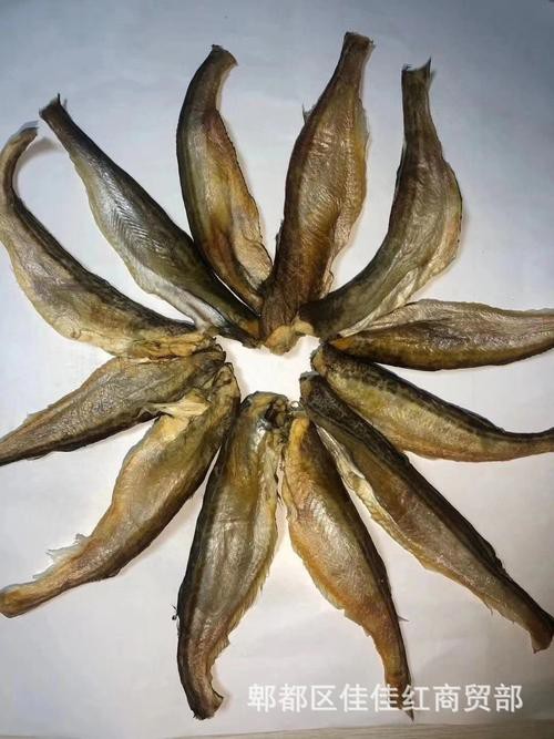 小黃龍魚圖片大全