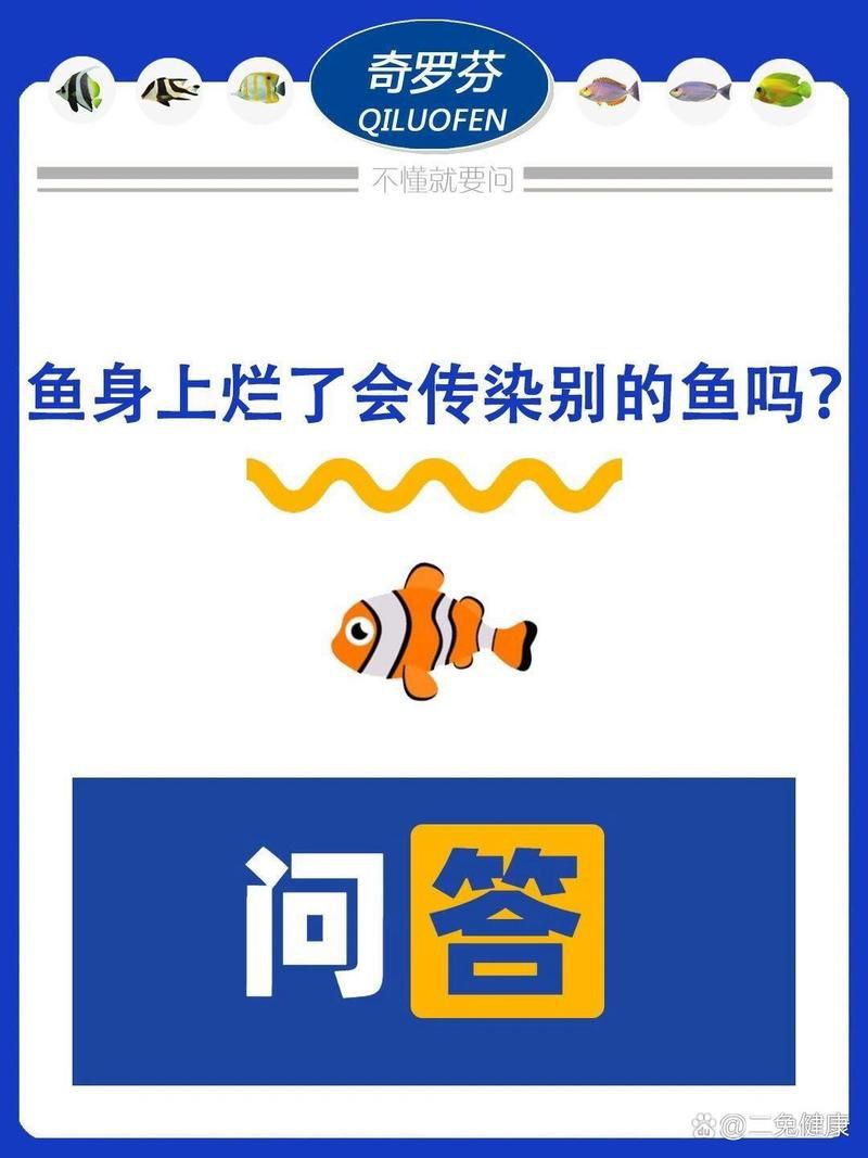 魚身上潰爛會傳染嗎？