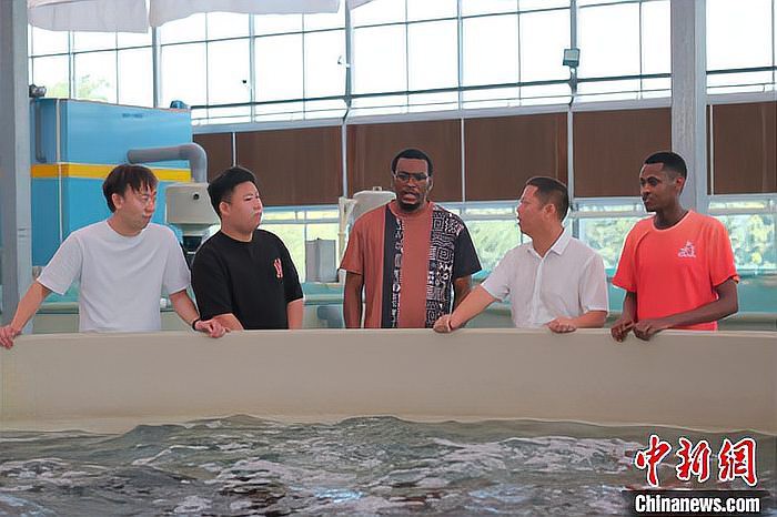 浙江龍魚產地是哪里的