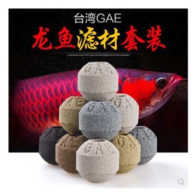 養龍魚生化球和陶瓷環多長時間更換一次（生化球和陶瓷環的更換頻率影響到魚缸水質的穩定性和健康） 養龍魚生化球和陶瓷環多長時間更換一次（生化球和陶瓷環的更換頻率影響到魚缸水質的穩定性和健康） 龍魚百科 第2張