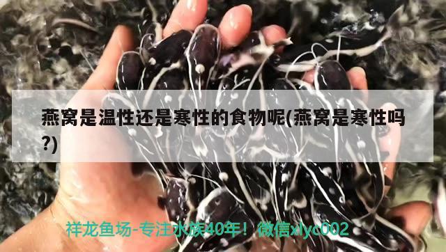 九臺區(qū)卡倫興龍漁具店