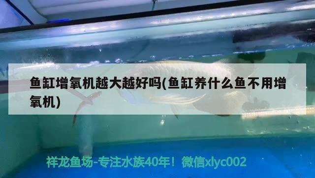 九臺區(qū)卡倫興龍漁具店