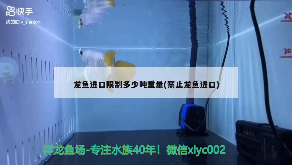 九臺區(qū)卡倫興龍漁具店