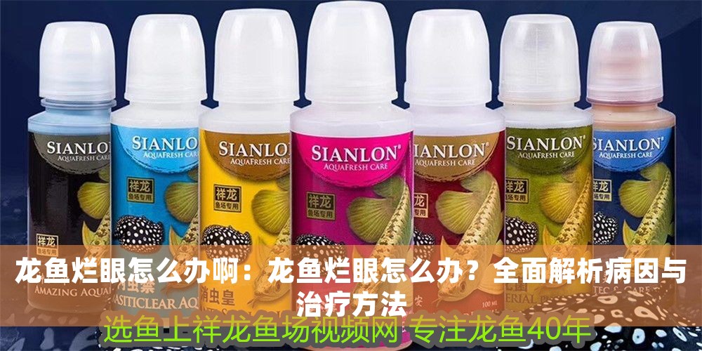 龍魚爛眼怎么辦啊：龍魚爛眼怎么辦？全面解析病因與治療方法