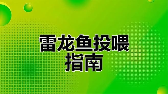 雷龍魚可以喂哪些食物？