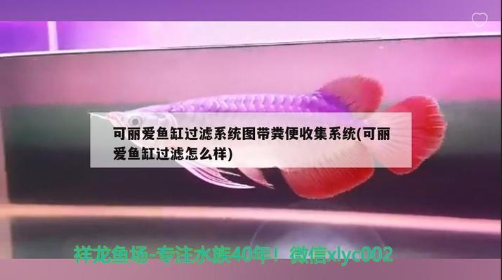 龍陵縣龍山海之韻生態水族館（龍陵縣龍山海之韻生態水族館電話）