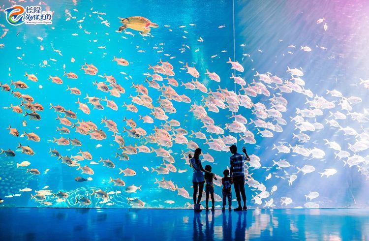珠海龍魚(yú)世家水族館怎么樣啊值得去嗎