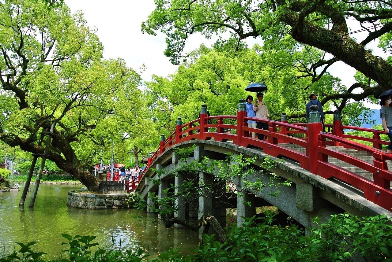 長江大橋綜合經濟開發區毛毛蟲盆景店