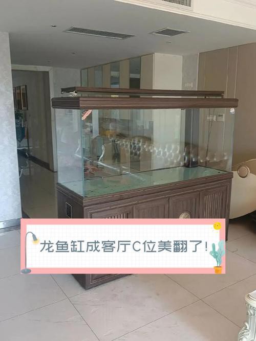 大型龍魚(yú)缸效果圖片欣賞