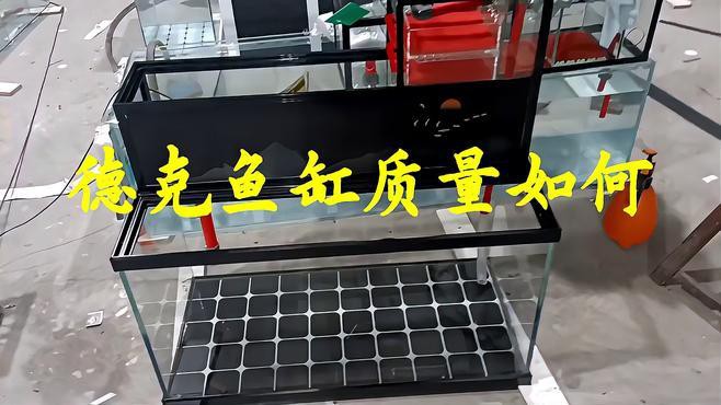 大型龍魚(yú)缸效果圖片欣賞