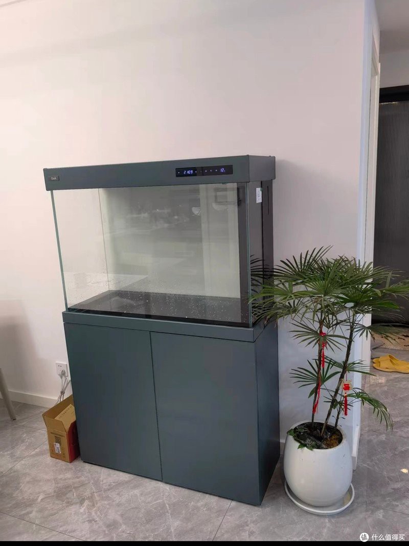 大型龍魚(yú)缸效果圖片欣賞