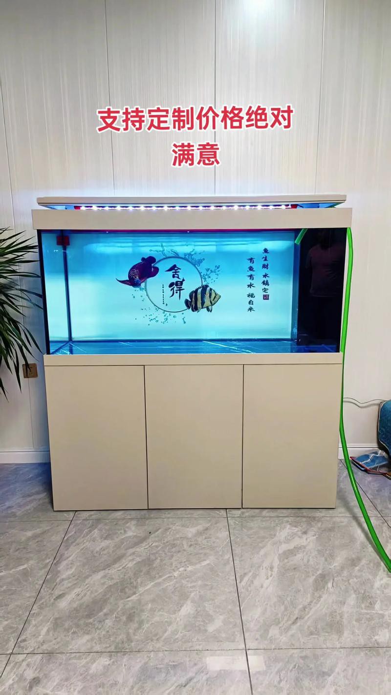 大型龍魚(yú)缸效果圖片欣賞
