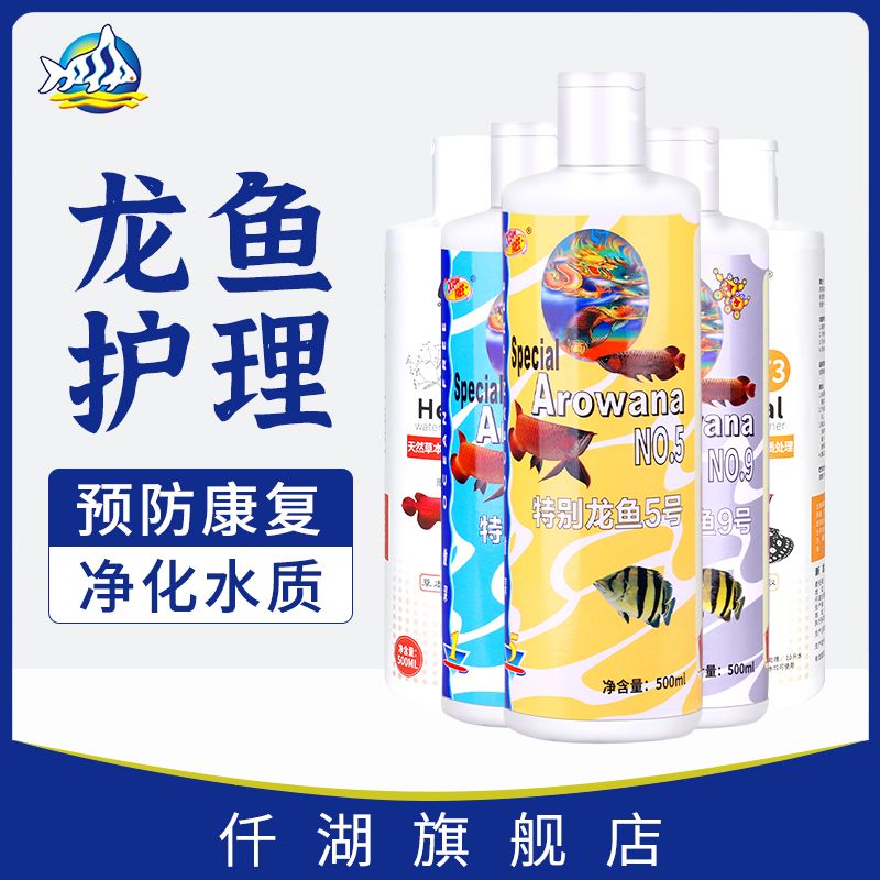 龍魚肝臟病變預防措施：龍魚專用飼料選擇指南