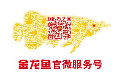 金龙鱼头像 微信：金龙鱼微信头像设计技巧金龙鱼头像设计技巧