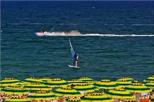 西昌市紅欣水族金魚(yú)館（西昌市紅欣水族金魚(yú)館電話）