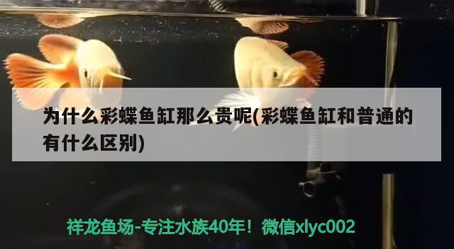 固安縣固安鎮(zhèn)尚眾花店