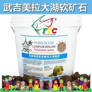 虎龍魚喂什么發(fā)色好（養(yǎng)龍魚應(yīng)該喂什么）