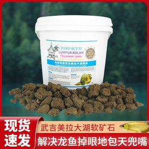 虎龍魚喂什么發色好（養龍魚應該喂什么）