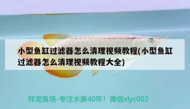 貴陽哪里有魚缸賣的實體店鋪呢的簡單介紹