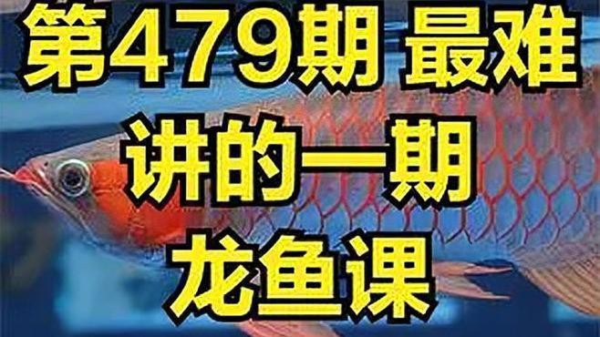 烤色紅龍魚的價格是多少？