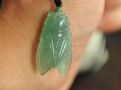 龍魚神龜傳說在線觀看：龍魚神龜傳說在線觀看，探尋神秘水族的神話與傳奇