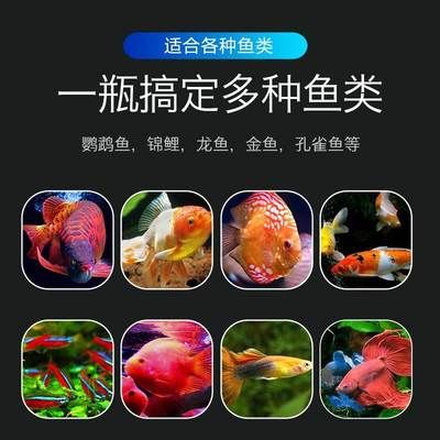龍魚吃甲硝唑可以嗎怎么喂：甲硝唑可以直接給龍魚食用嗎
