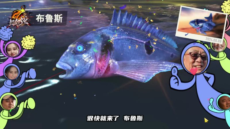 如何辨別野生和養殖黃龍海水魚？