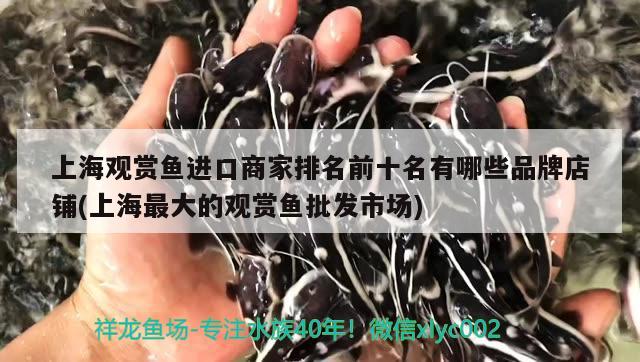 合浦虹吸水族店