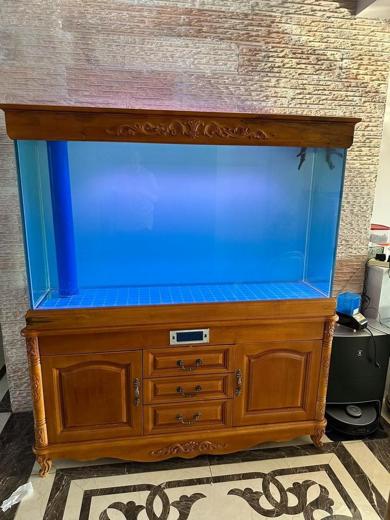 觀賞魚藍龍魚怎么養好呢