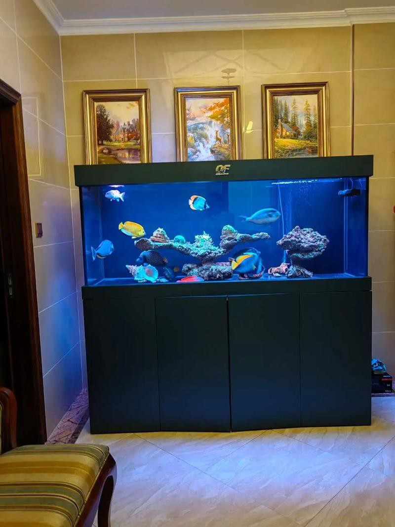 觀賞魚藍龍魚怎么養好呢