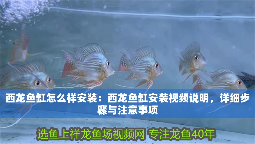 西龍魚缸怎么樣安裝：西龍魚缸安裝視頻說明，詳細步驟與注意事項