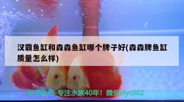烏魯木齊市天山區(qū)大海水族館（烏魯木齊市天山區(qū)大海水族館電話）