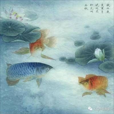 紅色龍魚畫適合掛在哪（家里掛什么畫招財？）