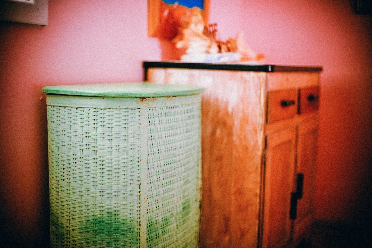 錦江區玥小姐的貓店